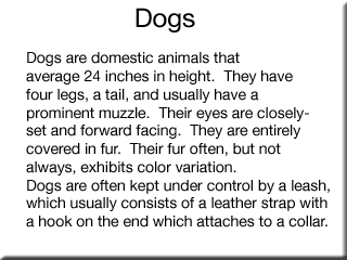 dog text